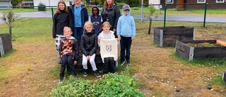 Bodenskola driver hälsoprojekt: "Om man gör det som vi gör så lever man ett bättre liv"