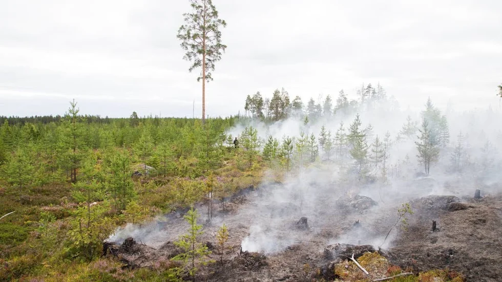 Det blev det blev det brandförsvaret kallar en låg löpeld genom området.