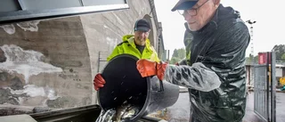 Öringar får nytt hem i Lillpiteälven