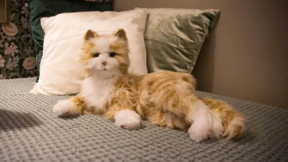 Robotkatten följer dig med blicken, rör sig i olika positioner och reagerar på beröring. Robothusdjur testas just nu inom demensvården i bland annat Piteå kommun.
