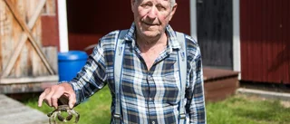 Invasiv krabba fångad vid Mjoön