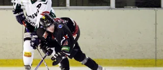 Fyra av Hylander i comeback