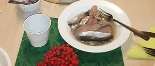 Surströmmings-fest PRO Älvsbyn
