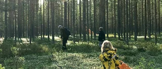 En femårig bokslukare