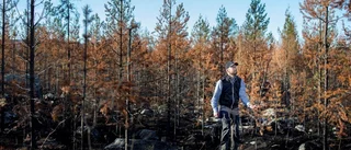 Sveaskog: Elda inte i skogen