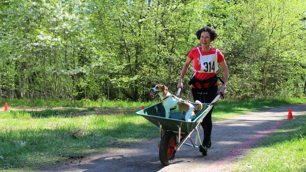 Vissa tävlande hade rutin på att bli skjutsade i skottkärra.