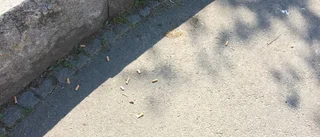 Efter tillsyn – färre elever röker öppet