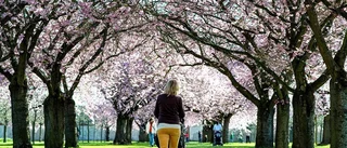 Catarina Kärkkäinen: Lika regler eller utfall