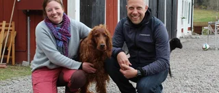 Gosiga möten i lammgården