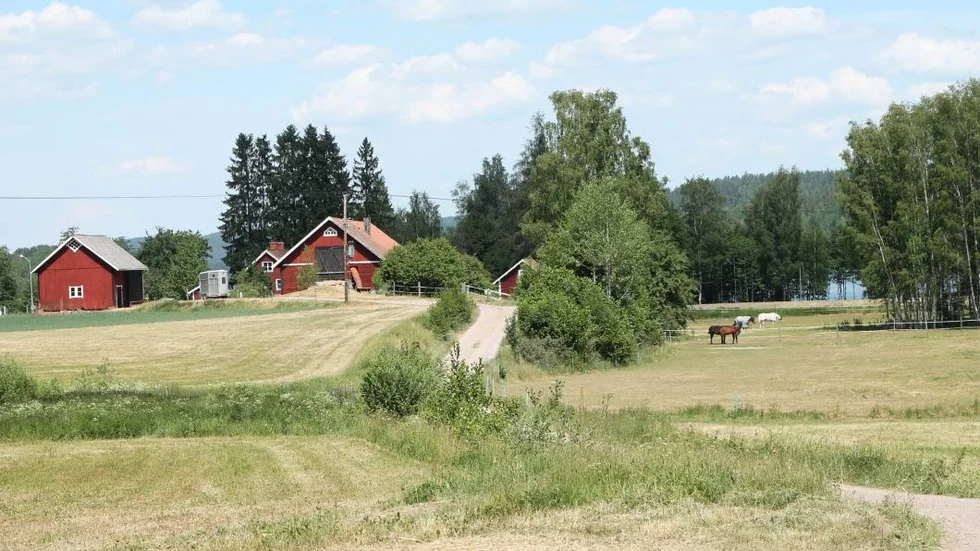 Prata om mitt i naturen! Gården Örsvik ligger där. Vid sjön Ören, inte så långt från Tidersrum. Det här är hemvist för Stall Siverholm.