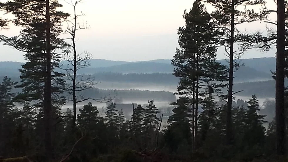 Skogsbruket är viktigt för landsbygdens utveckling, skriver debattörerna.