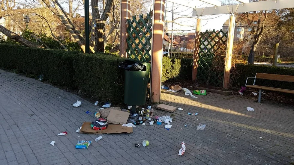 "Det här ger inte en bra bild av Linköping", tycker Carina Karlsson som på söndagsmorgonen möttes av skräp i Trädgårdsföreningen.