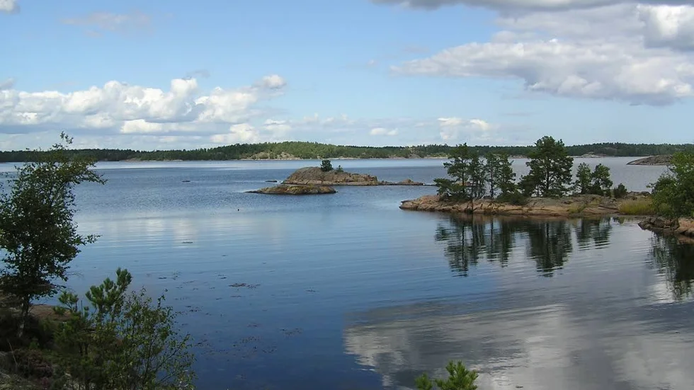 En fin slinga på 6,5 kilometer går på Åsvikelandet i Valdemarsvik.