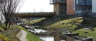 Tomma bostäder trots bostadskris