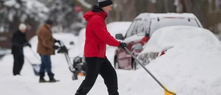 Så länge stannar vargavintern