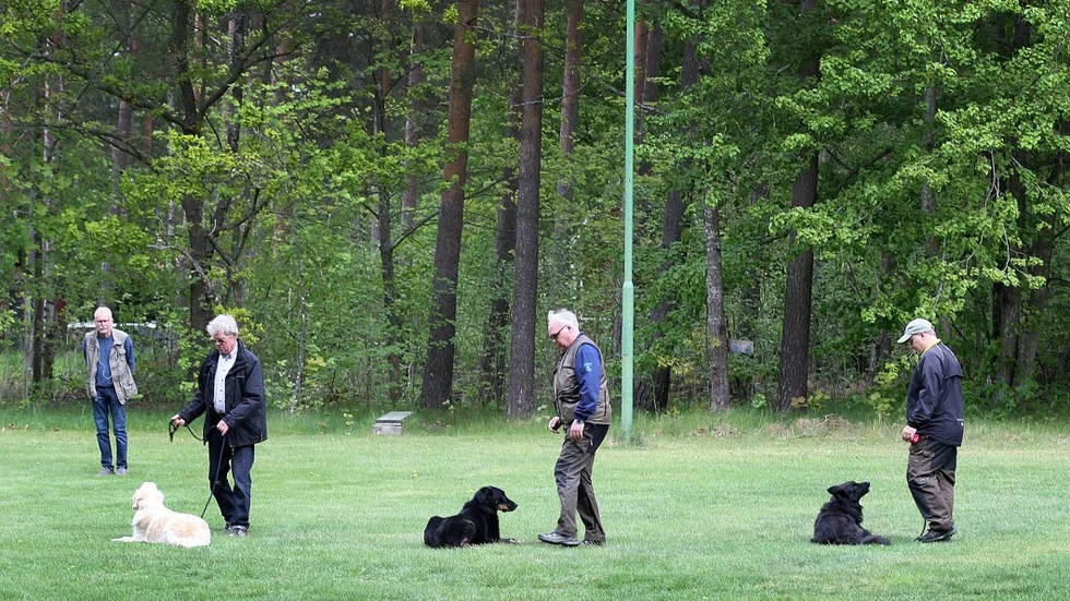 Lydnad. Under hela dagen visade flera hundar och deras ägare upp vad de lärt sig på Mjölby brukshundklubb.