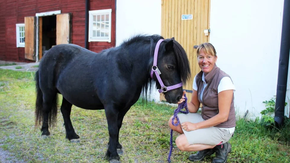 Rymling. Shetlandsponnyn Bibbi är nyast i gänget berättar Vallas ridskolechef Cissi Christensen.