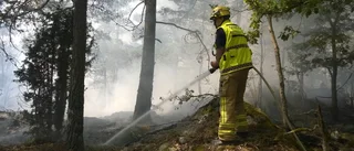 Skogbrand vid Svinstadsjön släckt