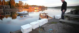 Ålen får nytt liv i sjön Sommen