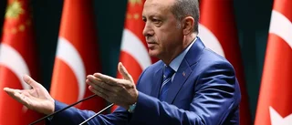 Bo Pellnäs: Turkiet i Nato - hur länge?