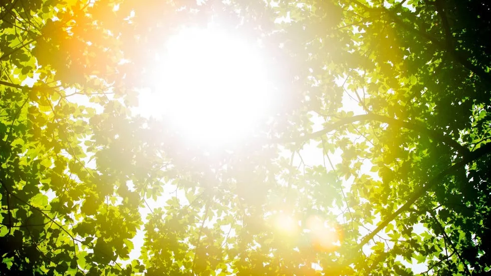 Solchanser och behagliga temperaturer är prognosen för helgen.