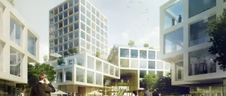 Dragkamp om kulturskatt i Ebbepark