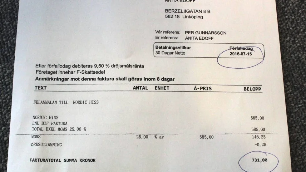 731 kronor tyckte fastighetsägaren att Anita Edoff ska betala för att hon felanmälde hyreshusets hiss.