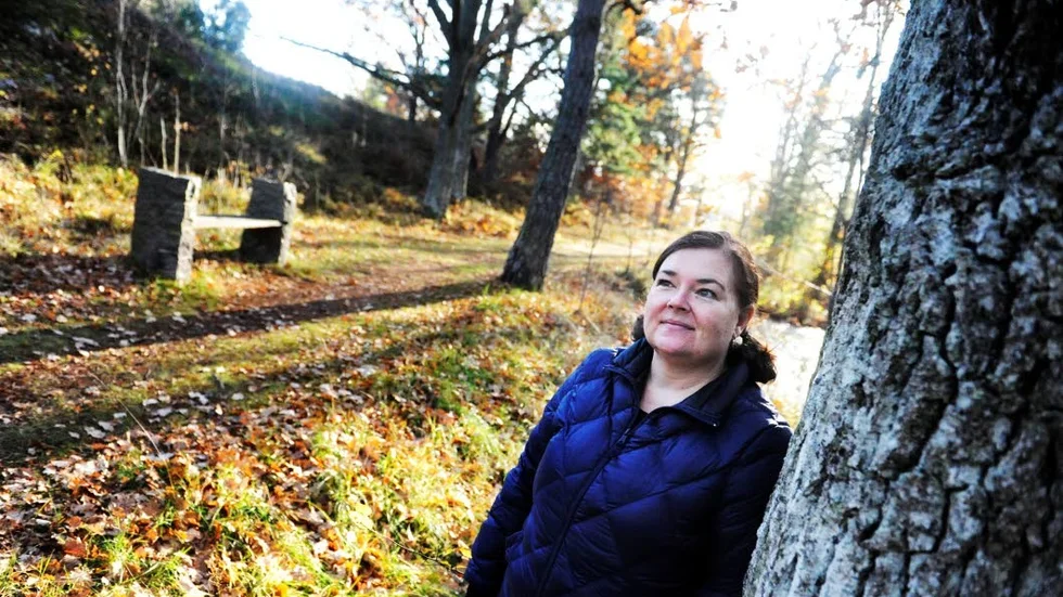 Skogsprojekt. Lotta Björn inspireras av mellanrumsformer i naturen och kallar sitt projekt "In the woods there was not".