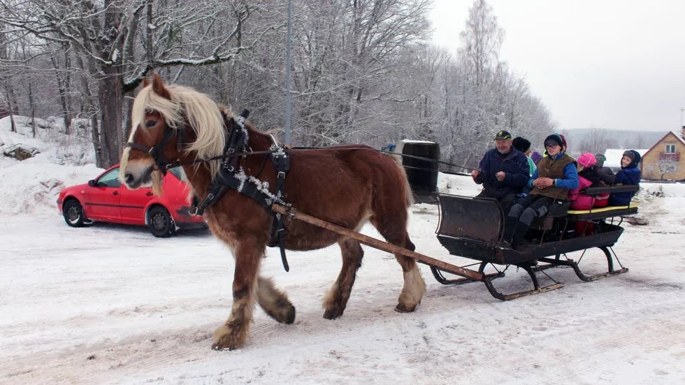 Slädturer. Bengt Mårtensson från Almvik körde släde med hästen Calle.