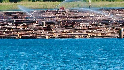 Syrefattig. Södra Timbers ansträngningar att syresätta Kisasjön har inte gått som förväntat. Sjöns syrehalt är lägre än någonsin.