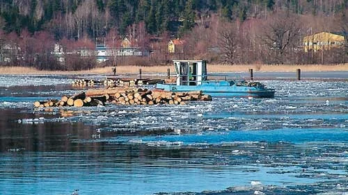 Bogserbåtarna puttrar för fullt i Kisasjön. 300 000 kubikmeter timmer kommer att ligga i sjön om fem månader. Foto: Lars-Göran Bexell