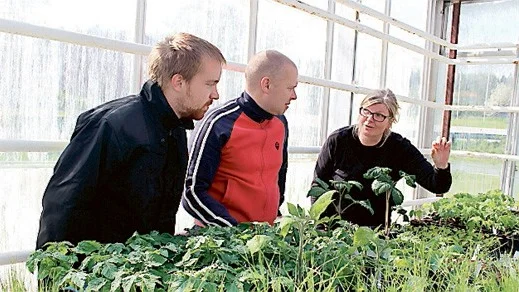 Cecilia Kilbride diskuterar olika växter med eleverna Viktor Gustavsson och Daniel Jonsson.