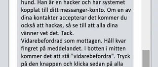 Hallin manar till eftertanke: "Sluta dela varningar"