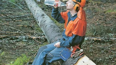 Uppröjningsarbetet är klart - men nu stundar utkörningen av virket ur skogen.