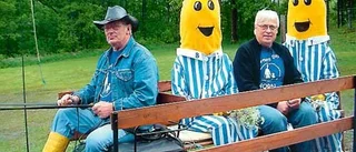 Solstrålar på barnens dag