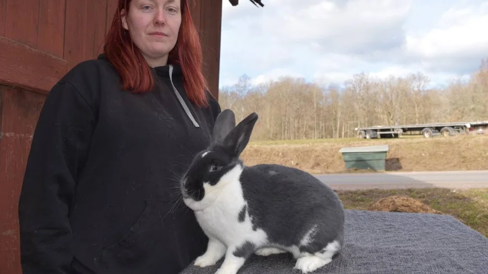 Madelene Svensson är ensam i landet med färgkombinationerna på Mecklenburger Schneck.