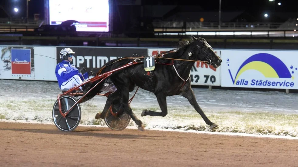Erik Adielsson och hemmahästen Indian Front var en av hästarna som vann i lördagens V75.
