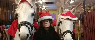 De julmyste med hoppning i stallet