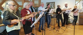 Här är det spelglädje för daglediga