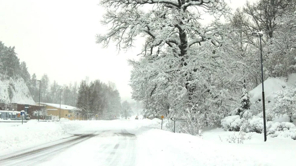 Snön överrasktade många.