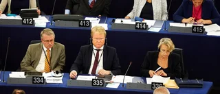 Vikten av öppenhet i EU