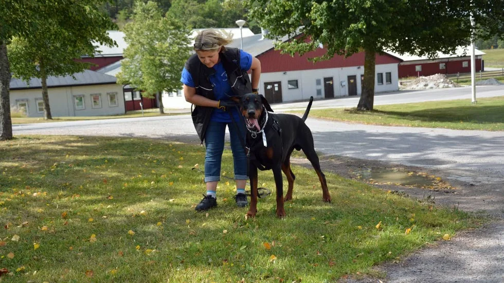 Handgranat. Eros har precis hittat en bit av en handgranat och får beröm.