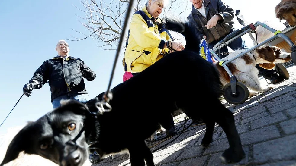 Victor verkar vara intresserad av att röra på sig.
