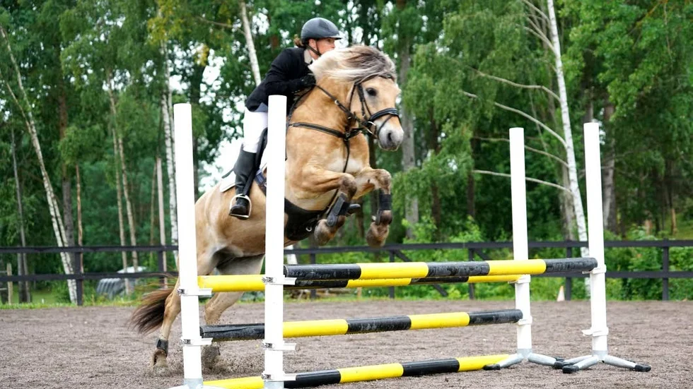 Malin Ramström med hästen Höjgaard Luna.