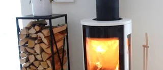 I Annas hus är Ernst en husgud