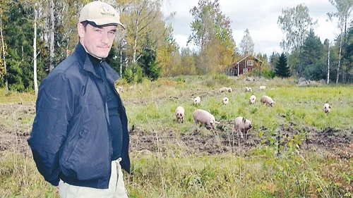 Håkan Jonsson har just nu 400 grisar, i karantän för provtagning. Drömmen är att ingen av dem smittats av salmonella - och att Jordbruksverket hittar smittvägen. "Ovissheten är värst."