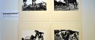 Bilder från 40 år som pressfotograf