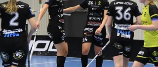 Gamla Stan mästare i kavaj – avslutade serien med utklassningsseger • Vann derbyt med 15–2(!)