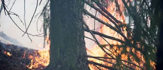 Hög risk för skogsbrand i helgen