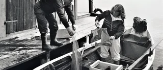 Marianne och Peter - två eldsjälar i Västrum